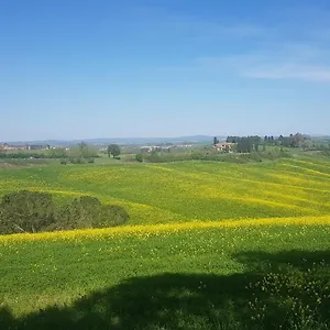 Gli Ulivi Di 2 *