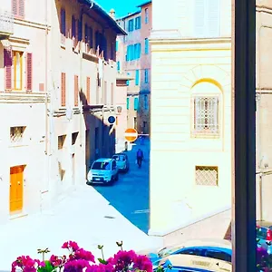 Le Di Livia Siena